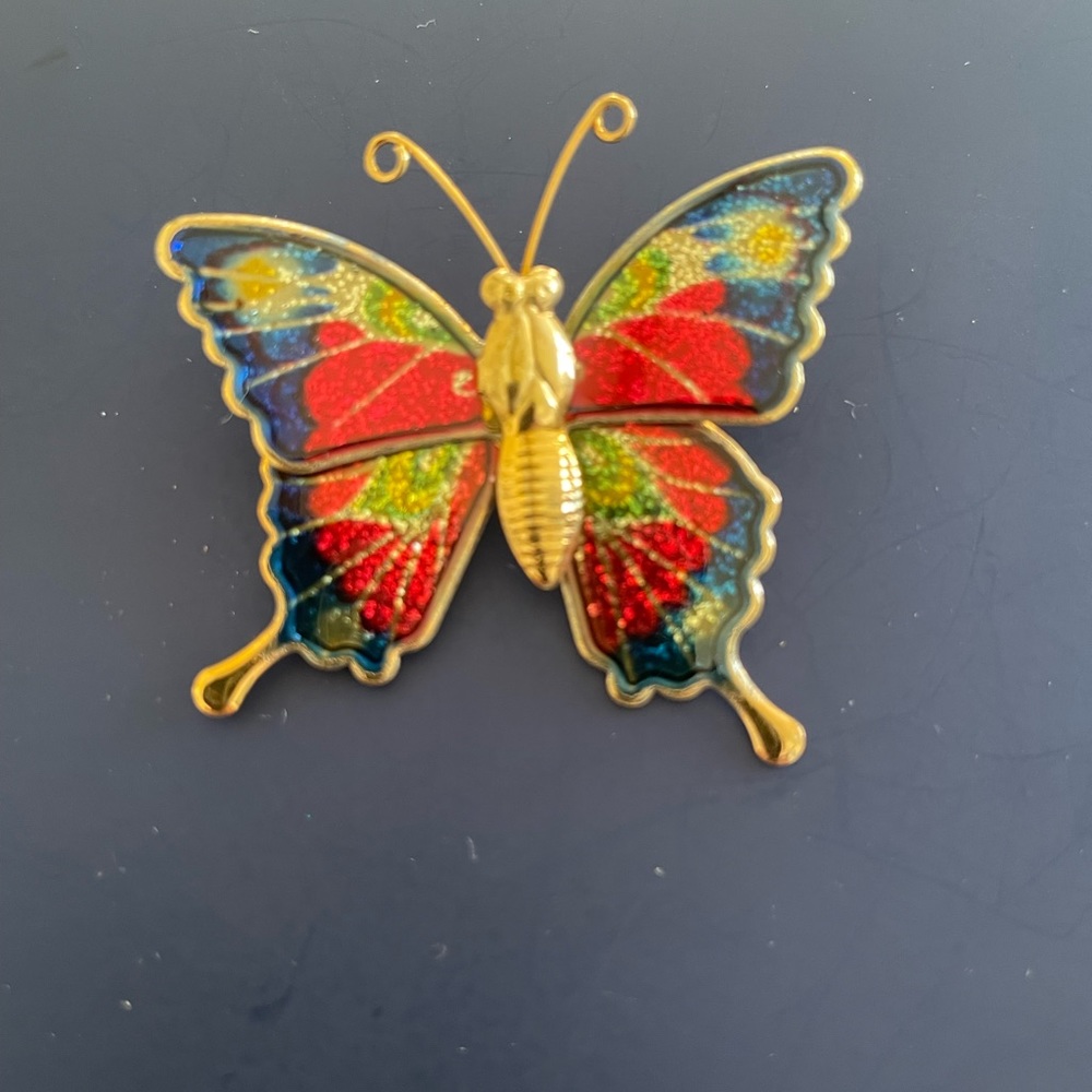Beautiful Butterfly Pin, MINT Condition!